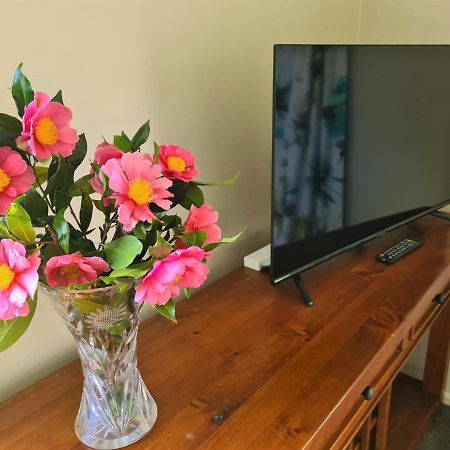 Pyes Pa Studio Leilighet Tauranga Eksteriør bilde
